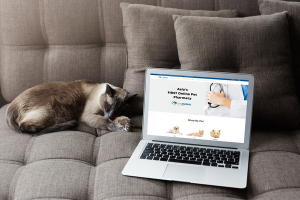 Unlocking Pet Wellness: Your Guide to the Purr-fect Online Pet Pharmacy Experience